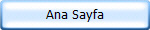 Ana Sayfa